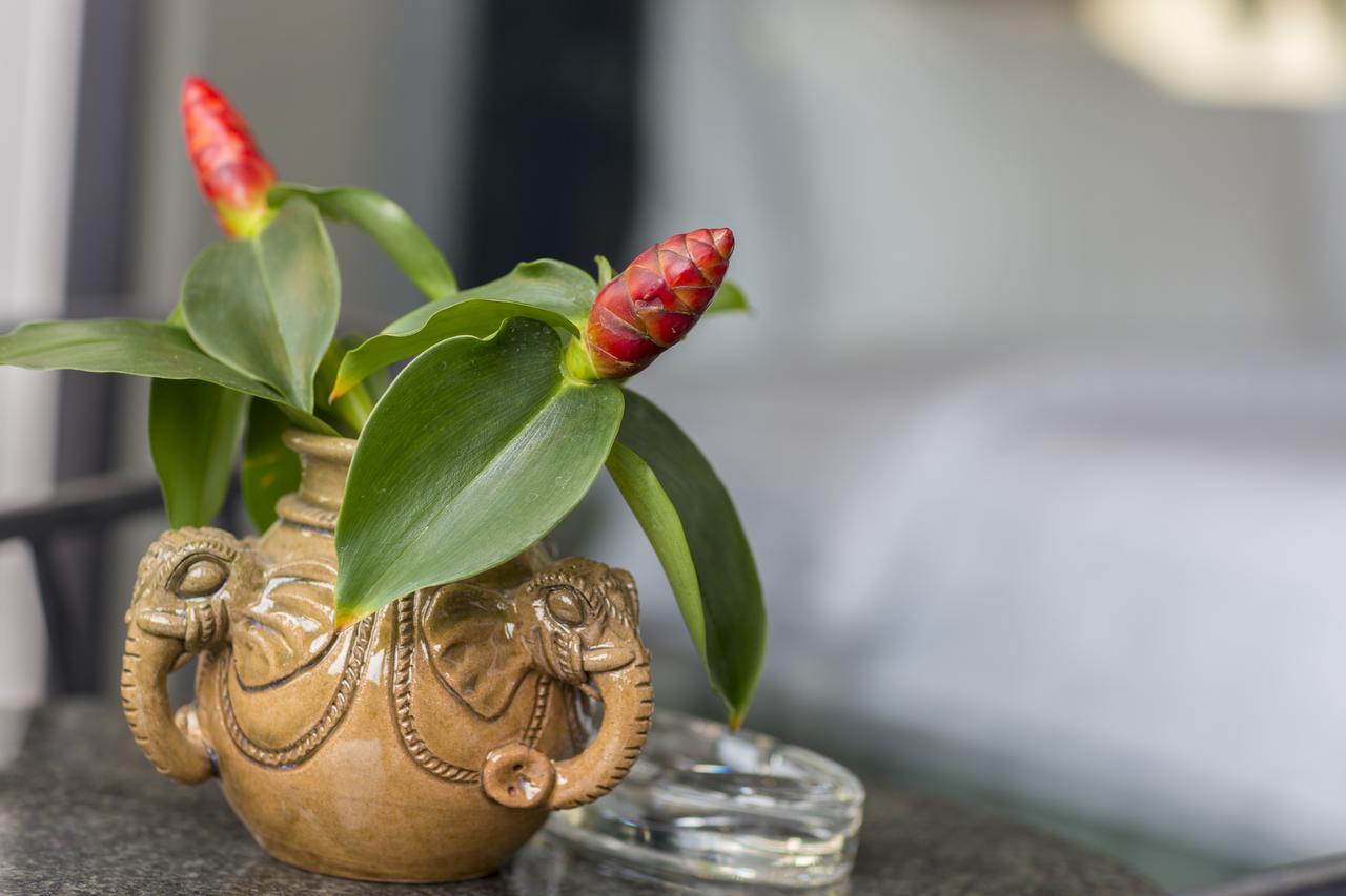 Elia Boutique Hotel Siem Reap Exteriör bild